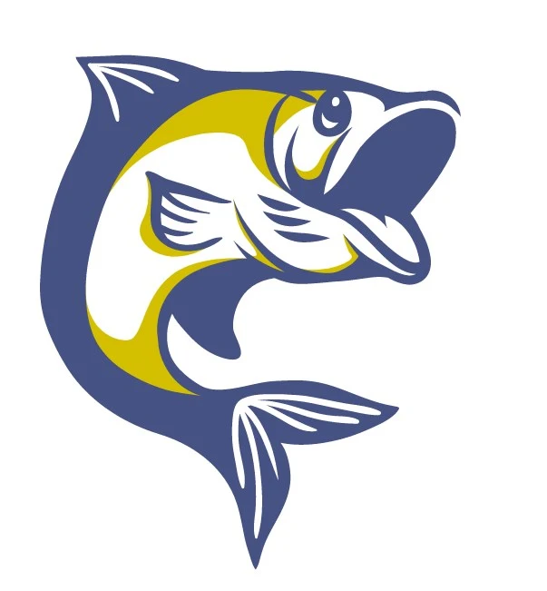 Spinnruten bis 280cm Verkauf