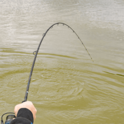 Preston Supera X Feeder 11 Ft -Spinnruten bis 280cm Verkauf SUPERA X FEEDER RODS3 1280x1280 1