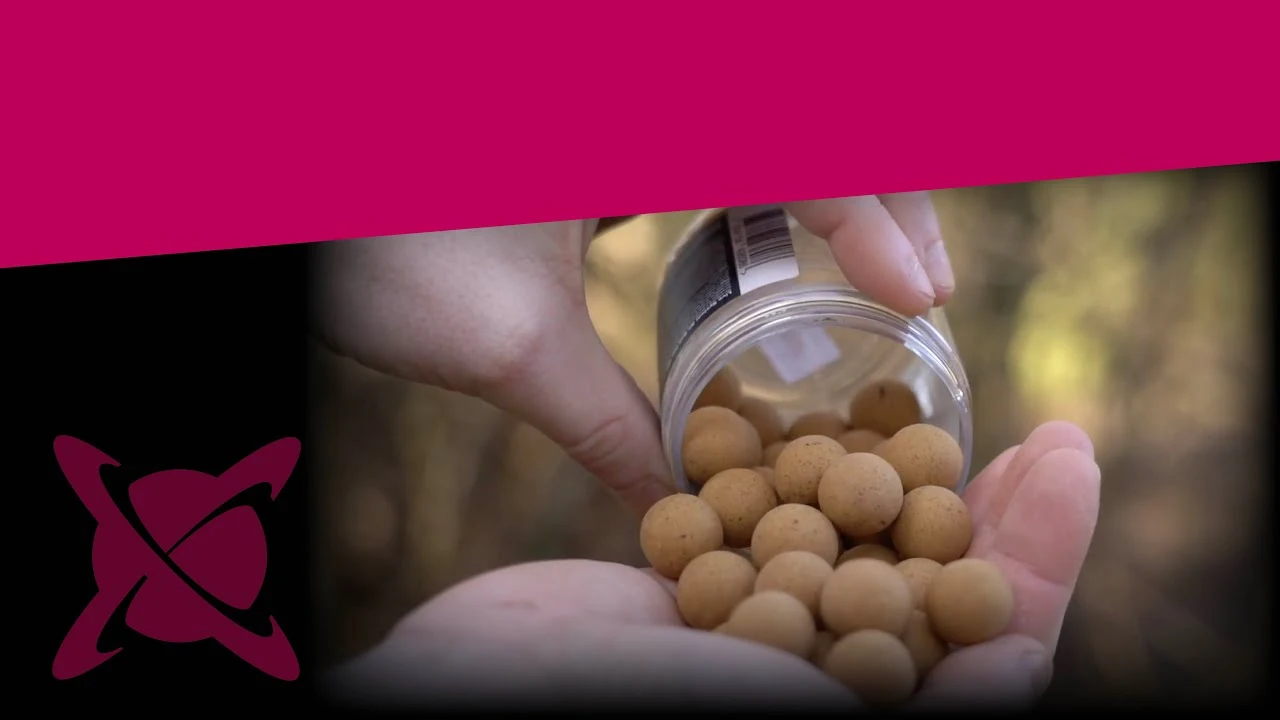 Spinnruten bis 280cm Verkauf -Spinnruten bis 280cm Verkauf 、